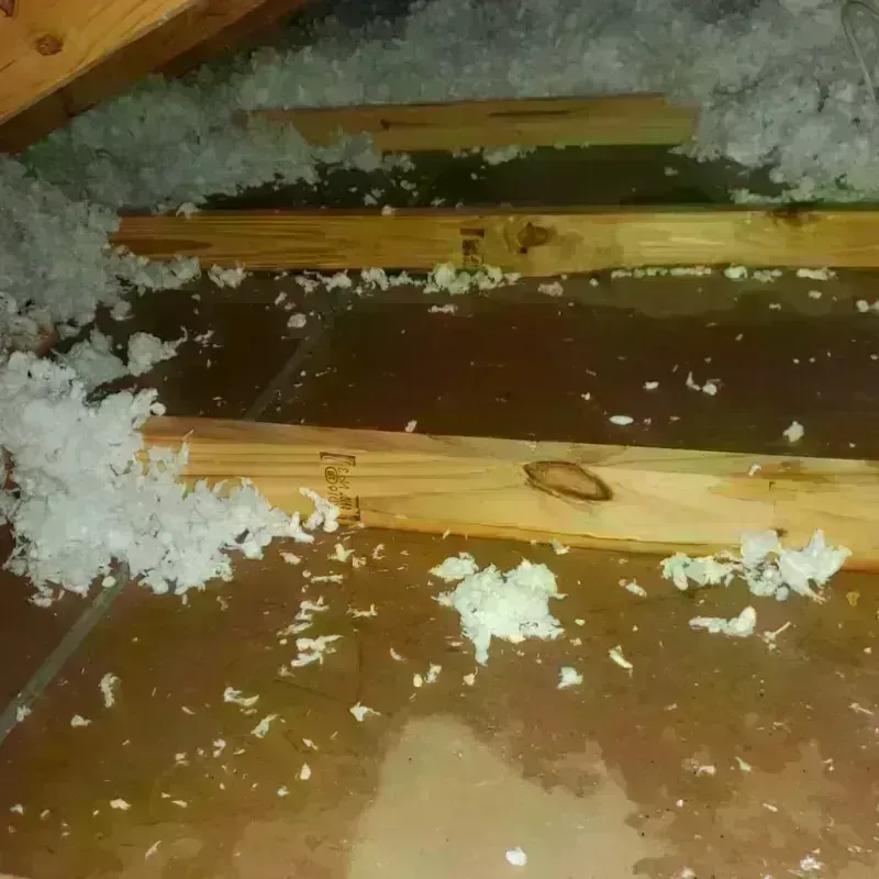 Attic Water Damage in Meadow Lakes, AK